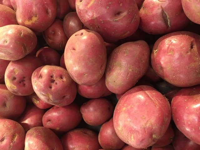 Red Potatoes 5lb In the Mail
